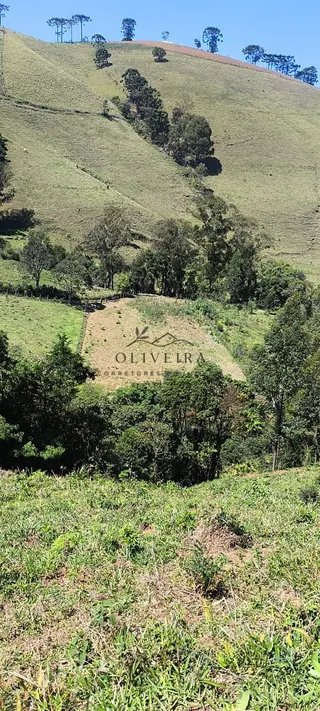 Foto 2 de Chácara em Delfim Moreira — 19.000 m²