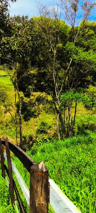 Foto 6 de Natureza, tranquilidade e a oportunidade de ter seu próprio espaço no campo!