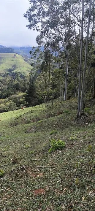 Foto 8 de Propriedade Rural em Delfim Moreira — 20 Hectares