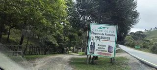 Foto 1 de Propriedade Rural em Delfim Moreira — 20 Hectares