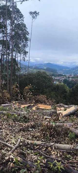Foto 16 de Propriedade Rural em Delfim Moreira — 20 Hectares