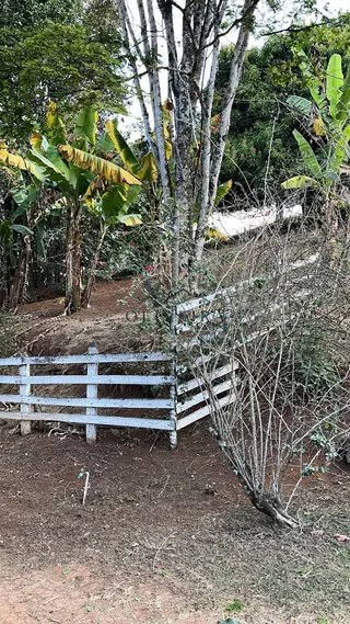 Foto 2 de Chácara no Bairro Mato Dentro de Cima — 10.000 m²