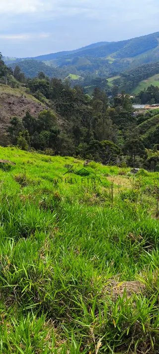 Foto 1 de Natureza, tranquilidade e água própria a apenas 5 minutos do centro!
