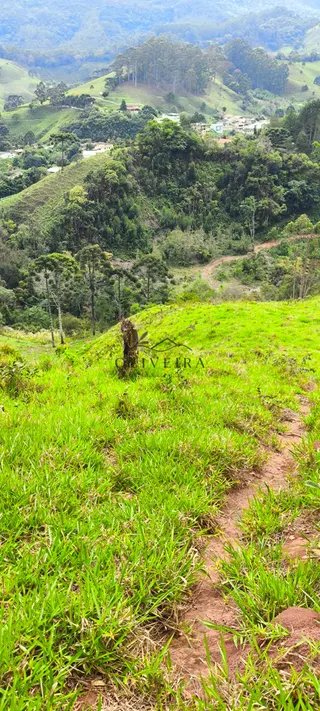 Foto 11 de Natureza, tranquilidade e água própria a apenas 5 minutos do centro!