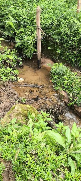 Foto 12 de Propriedade Rural em Delfim Moreira — 20 Hectares