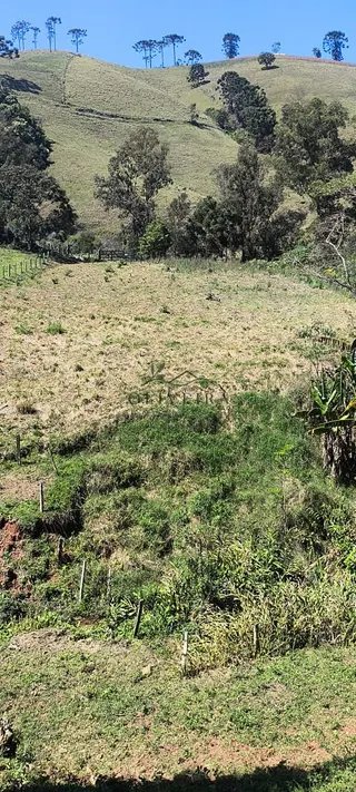 Foto 1 de Chácara em Delfim Moreira — 19.000 m²