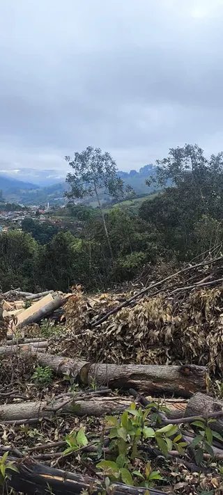 Foto 20 de Propriedade Rural em Delfim Moreira — 20 Hectares