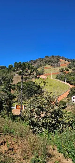 Foto 12 de Chácara de 1.400 m² (2 unidades disponíveis)