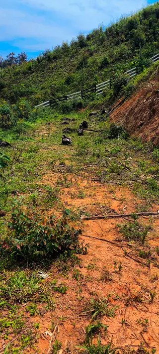 Foto 15 de Natureza, tranquilidade e a oportunidade de ter seu próprio espaço no campo!
