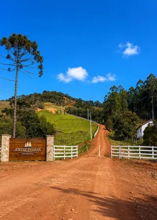 Foto 2 de Chácara de 1.400 m² (2 unidades disponíveis)