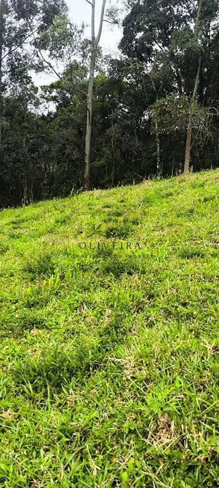 Foto 14 de Chácara no Bairro Gois — 18.000 m² com Casa