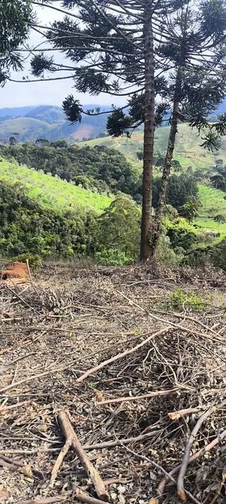 Foto 24 de Propriedade Rural em Delfim Moreira — 20 Hectares