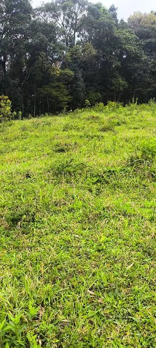 Foto 13 de Chácara no Bairro Gois — 18.000 m² com Casa