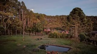 Foto 9 de Fazenda Cadima — 192 Hectares com Águas Abundantes